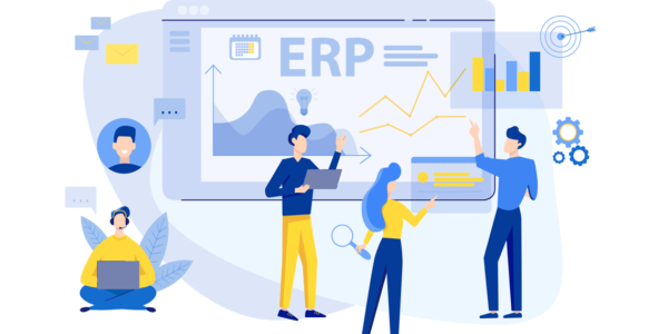 ERP System For Companies